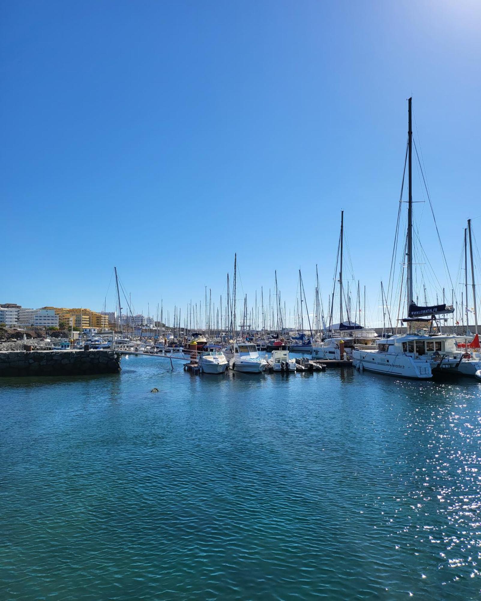Lovely Apartment Top Views, Heated Pool, Great Location San Miguel de Abona Exteriér fotografie