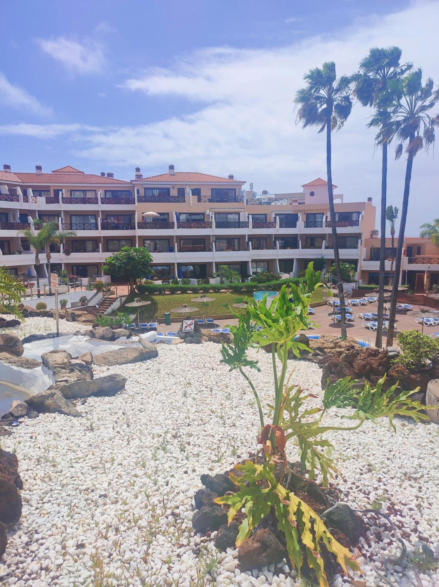 Lovely Apartment Top Views, Heated Pool, Great Location San Miguel de Abona Exteriér fotografie